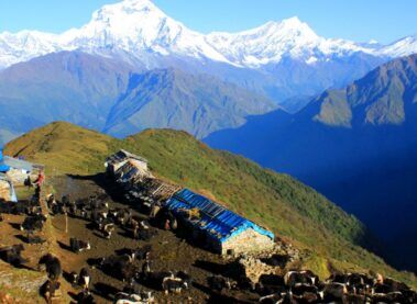 Dhaulagiri Hidden trekking, exploring Dhaulagiri Circuit Trek